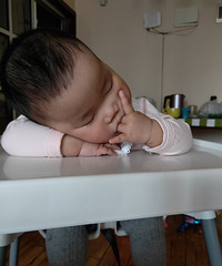 �۶����������֣��ֶ��Գ�ӡ����