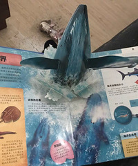 ���޶���Ŀ��������� ��30��Ԫ