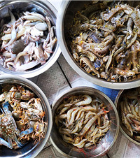 自驾黔南防城港,白银滩300块包船打的海鲜都归你,多得吃不完
