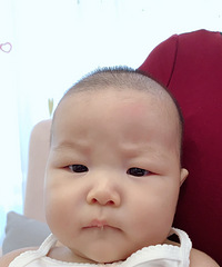 ��Ҷ����������裬Ψ���Լ�֪���ⱳ�����