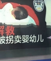 云南破获特大跨区域拐婴案