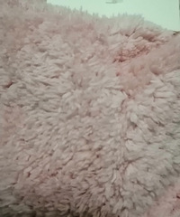 �µ��ĸɷ�ñëëϸ�ܣ�����������ʪ����10����ӾͲ����ˮ