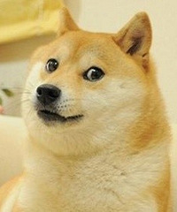 ����������λ�������������Ƽ��˸�������У�