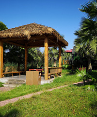 ˵߾ߵĩ,ҵһҳ¶ӪؾƵ