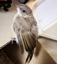 ������������ҼҲ�������