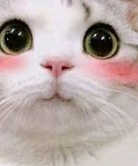 �Ǽ������籣���ϣ������Լ���Ǯ���ϸ��ã�