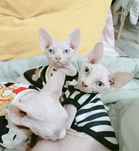 ɹһ���Լҵ�˹�ҿ�˹