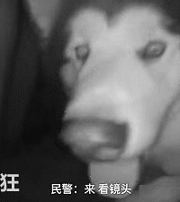 ·����ҹ�������������ǣ�