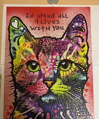 ͷ�Է��ȣ�����1000���ƴͼ����ֱ��ȫ�޴�����