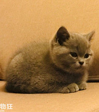 ����ϲ�����ʱ�����