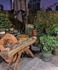 拥有大露台,实现在家BBQ自由【2019-2力诚家秀家大赛】