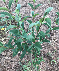 7â磬ôоҶе㲻һǲǱƭ