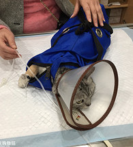 ���Ͼ�������ֱ�Ӳ�������