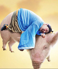 ����߸���������cos̫������