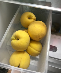 Ļƴұȳеĺóԣ׼һͷ