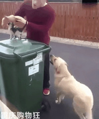 ���ҷ�����ֻè��