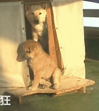 �������Ų�����ʱ����