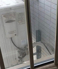 ¥¿յװҵĴˣȥЭ˼Ҳ