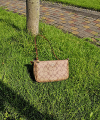 ɹɹ�ҵ�Coachmajiang�����ɿ��������¿�����ˣ��������