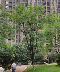 感谢各位购物狂的大佬们,我已下叉二手房~