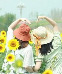 打卡复盛高铁站向日葵拍照圣地