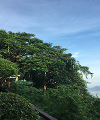 三亚这个冷门景区能看三亚全景,定的酒店不到300泳池沙池都有