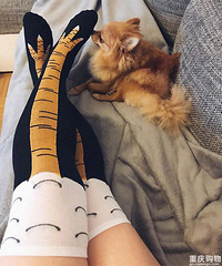 һ��ħ�Եġ���צ�ࡱ�������������˲��ﵽ�����ȡ���Ч��