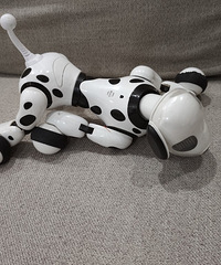 ���ӵ������������������µĳ������ж��٣����3��֮1��