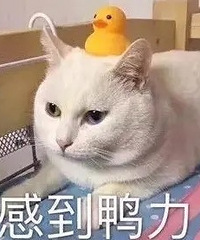 ���ö��ӿ�98��̫���ʦ���軼����֢