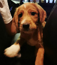 �����´�ıȸ�Ȯ������