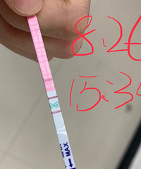 备孕小白,似乎这月又一次扑街