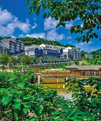 重庆这几路车堪称公交之最!没坐过不算重庆真土著