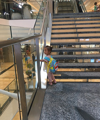 �������������ʿ