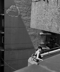 ������������Ӱ��