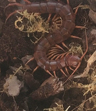 ������Ķ���ʲô��̬��