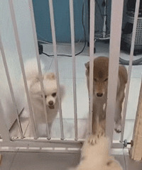 ��Խ����ȥ�棿�����ܵģ�