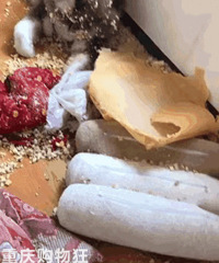 ����Ϊʲôϲ��������˹��