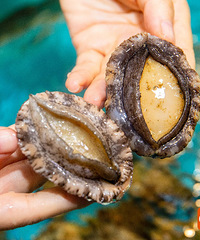 ̫ˣ200+Ʒϲϻߡ̩ϺԵˣ