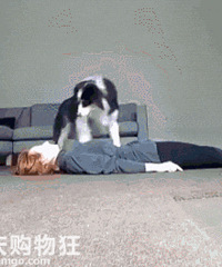 主人装死测试二哈,狗子:怎么样?现在舍得醒了吗?