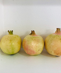 ʯ񡢹߿ţ3ż25Ԫ