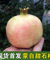 ʯ񡢹߿ţ3ż25Ԫ