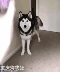 ���̣������ڵ�......