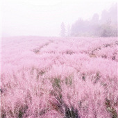 ����Ͽ��ˮ�����з���