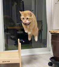 �Ҽҵ�è��ɣ�