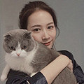 国企工作的铲屎官征婚