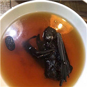 �����������˽�һ�£�