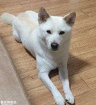 �ײ����ǳ����Ȼ��