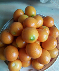 ���������ˣ����Ա��ǽ�ۣ�ֹ������Σ������������ζ��