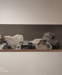 大学城美院第十三届全国美术作品展