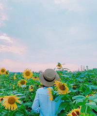 ����ȥ��ʢ���տ������